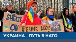 Украина – путь в НАТО 