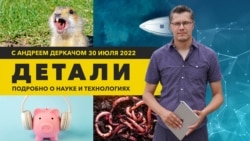 Суперчерви, поедающие пластик, и чип для регенерации тканей организма| «Детали»