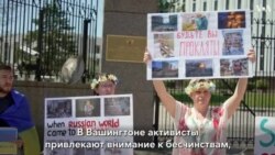 «“Русский мир” – он должен быть в России»