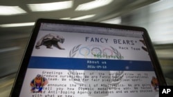 Скриншот сайта российских хакеров Fancy Bears fancybear.net на экране компьютера (архивное фото).