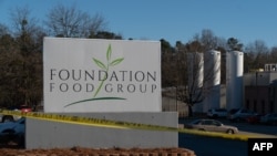 Птицефабрика компании Foundation Food Group в Гейнсвилле, 28 января 2021 года