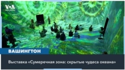 «Сумеречная зона»: иммерсивная выставка погружает в таинственные океанские глубины 