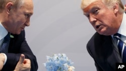 Дональд Трамп и Владимир Путин общаются во время саммита G20 в Гамбурге, Германия, 7 июля 2017 года